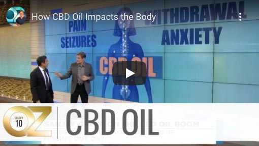 Dr. Oz CBD Oil Video Screenshot