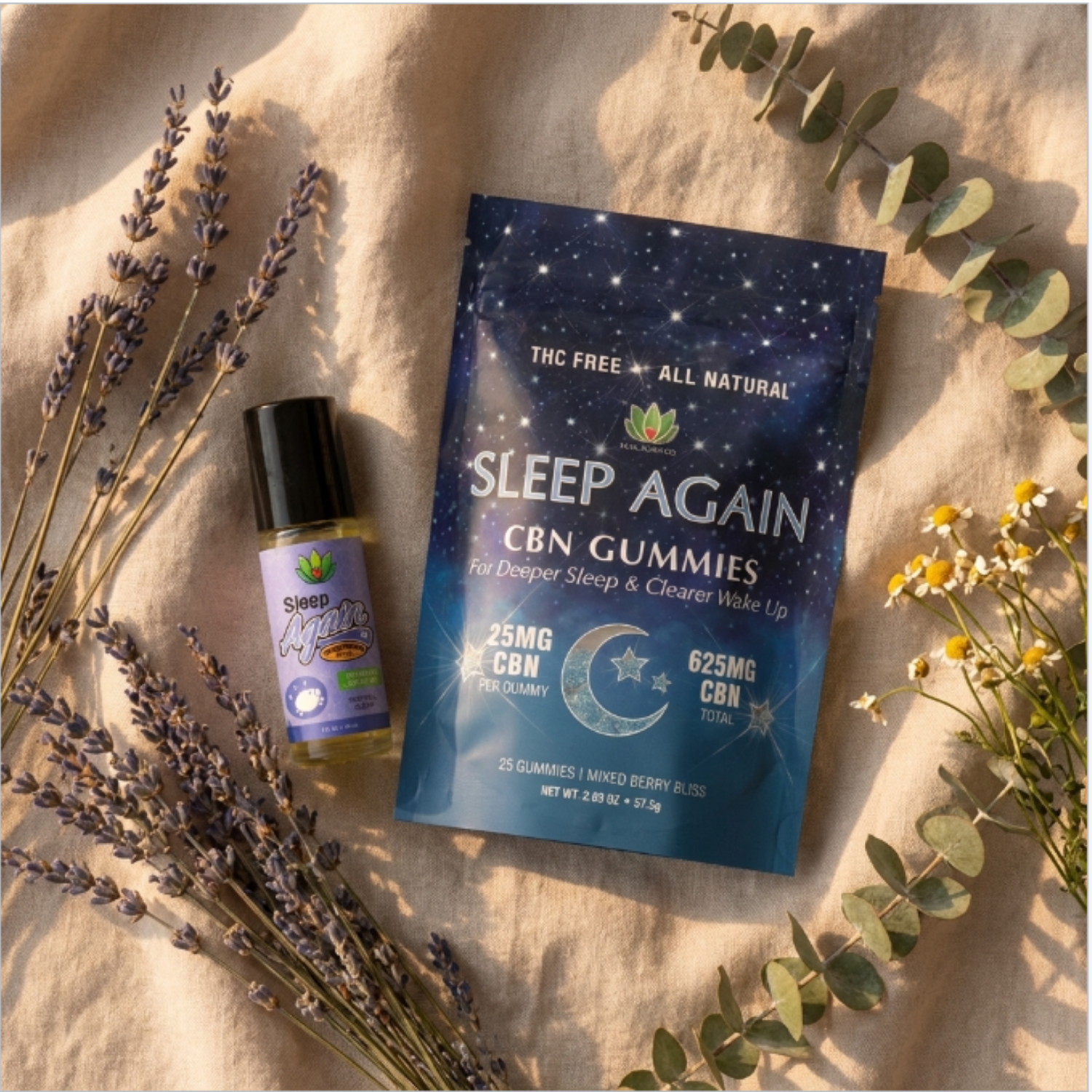 The Nightfall Collection